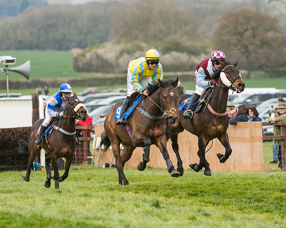 Race 2 - Mares Maiden (13 of 65)