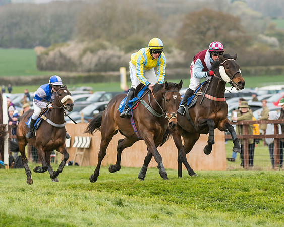 Race 2 - Mares Maiden (14 of 65)