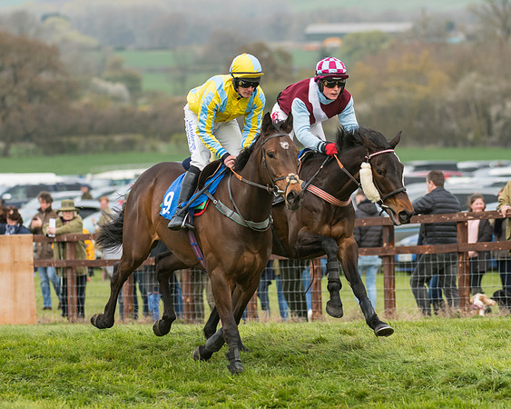 Race 2 - Mares Maiden (16 of 65)