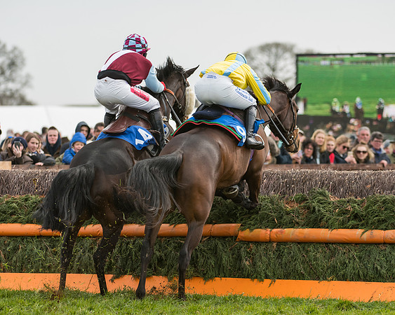 Race 2 - Mares Maiden (19 of 65)