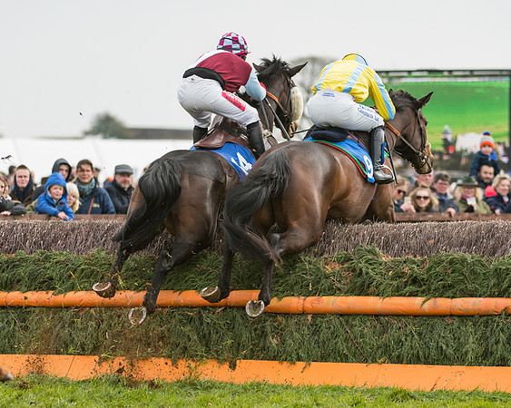Race 2 - Mares Maiden (20 of 65)