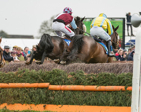 Race 2 - Mares Maiden (21 of 65)