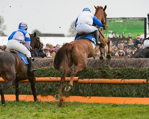 Race 2 - Mares Maiden (23 of 65)