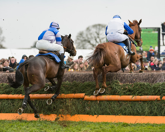 Race 2 - Mares Maiden (24 of 65)