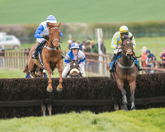 Race 2 - Mares Maiden (26 of 65)