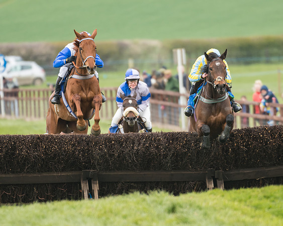 Race 2 - Mares Maiden (25 of 65)
