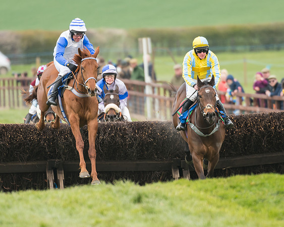 Race 2 - Mares Maiden (27 of 65)