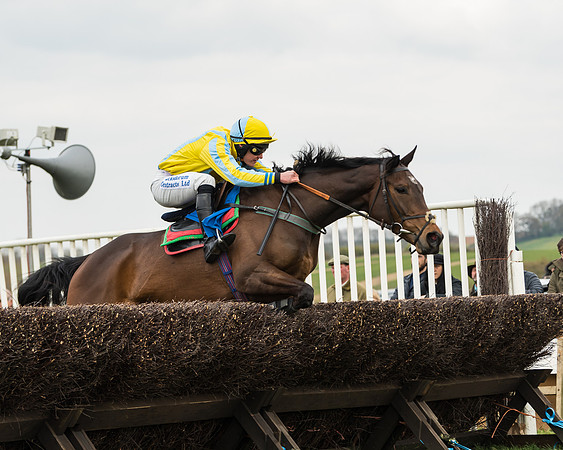 Race 2 - Mares Maiden (32 of 65)