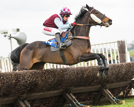 Race 2 - Mares Maiden (36 of 65)