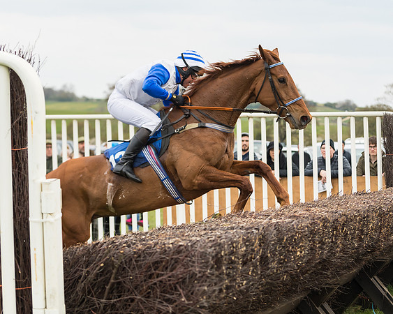 Race 2 - Mares Maiden (39 of 65)