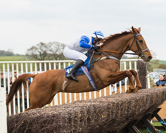 Race 2 - Mares Maiden (40 of 65)