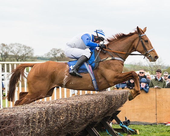Race 2 - Mares Maiden (41 of 65)