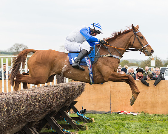 Race 2 - Mares Maiden (42 of 65)