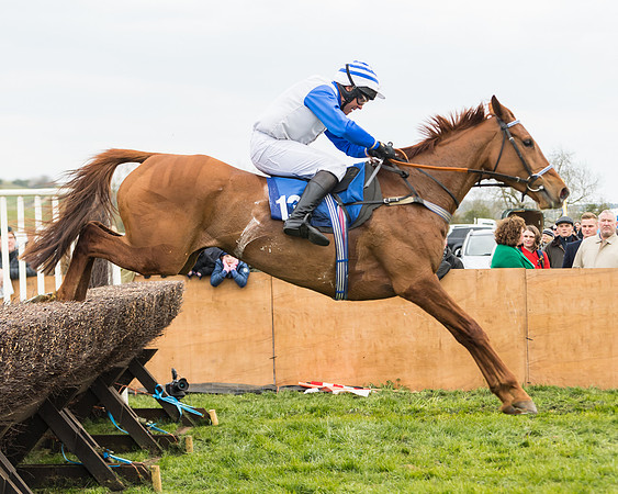 Race 2 - Mares Maiden (43 of 65)