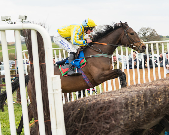 Race 2 - Mares Maiden (45 of 65)