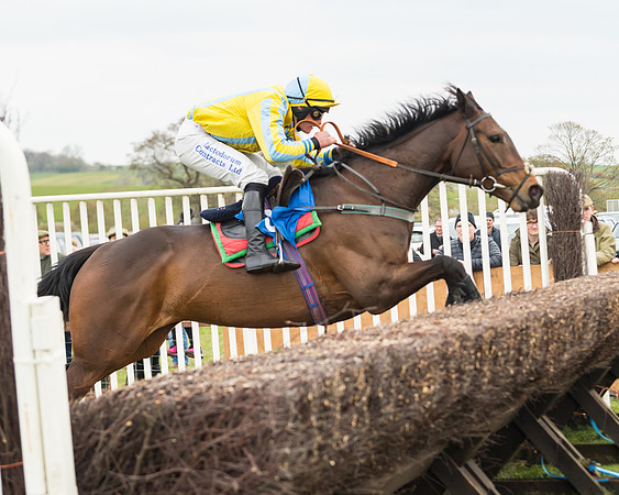 Race 2 - Mares Maiden (46 of 65)
