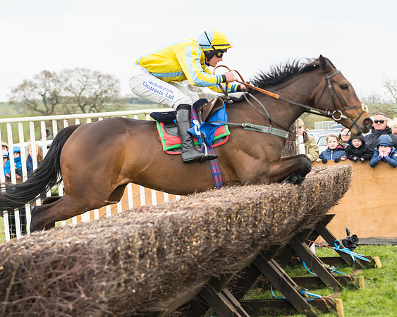 Race 2 - Mares Maiden (47 of 65)