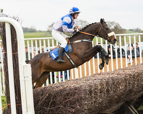 Race 2 - Mares Maiden (50 of 65)