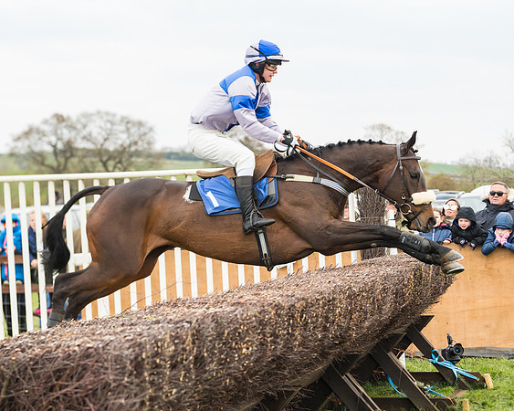 Race 2 - Mares Maiden (52 of 65)