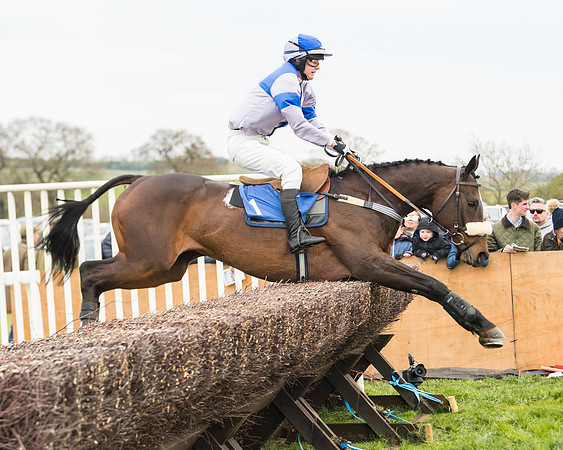 Race 2 - Mares Maiden (53 of 65)
