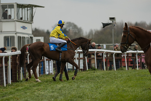 Race 3 - Open Maiden (2 of 56)