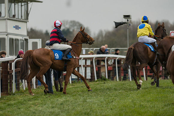 Race 3 - Open Maiden (3 of 56)
