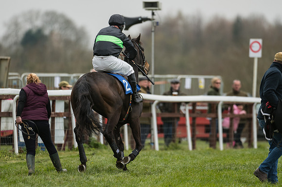Race 3 - Open Maiden (5 of 56)