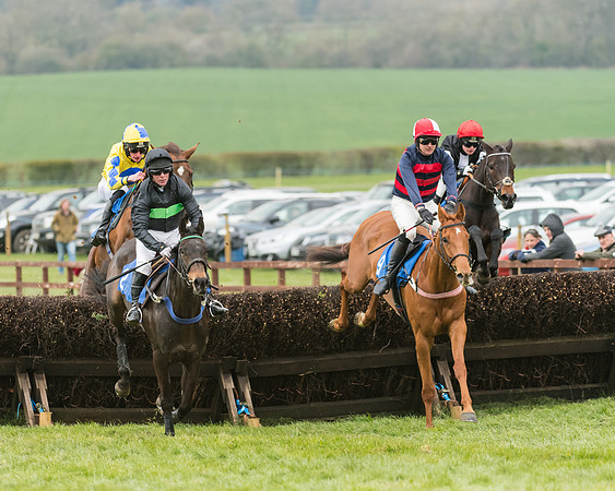 Race 3 - Open Maiden (10 of 56)
