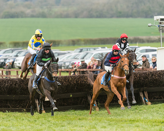 Race 3 - Open Maiden (11 of 56)