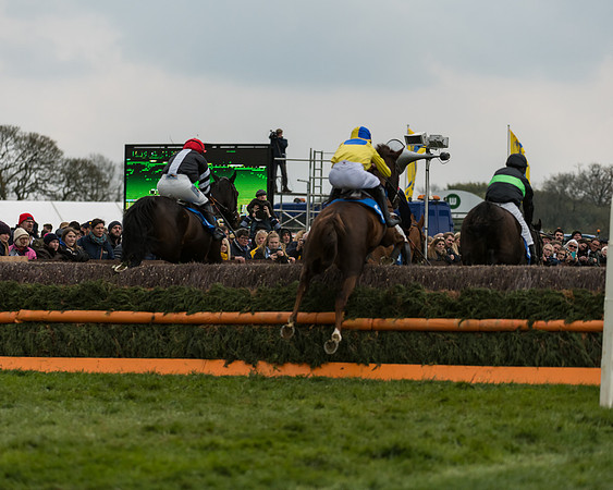 Race 3 - Open Maiden (16 of 56)