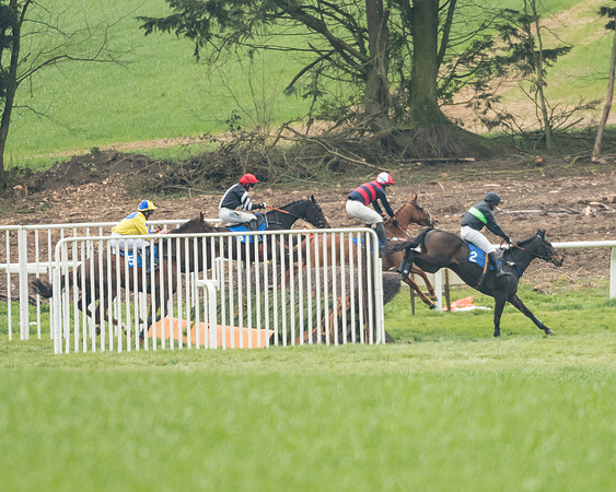 Race 3 - Open Maiden (17 of 56)