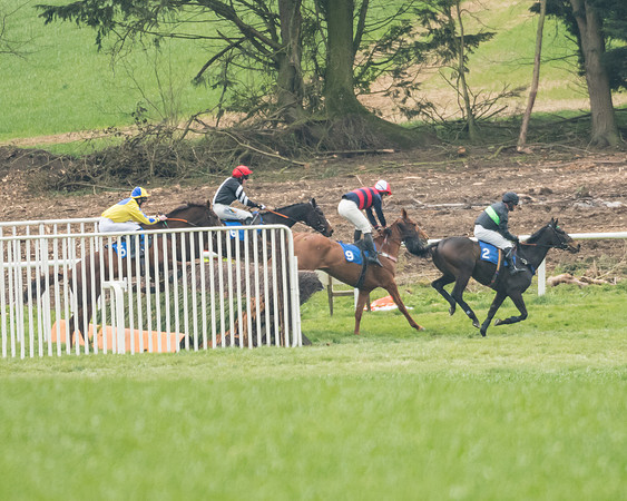 Race 3 - Open Maiden (18 of 56)