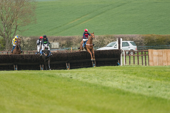 Race 3 - Open Maiden (20 of 56)