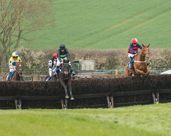Race 3 - Open Maiden (19 of 56)