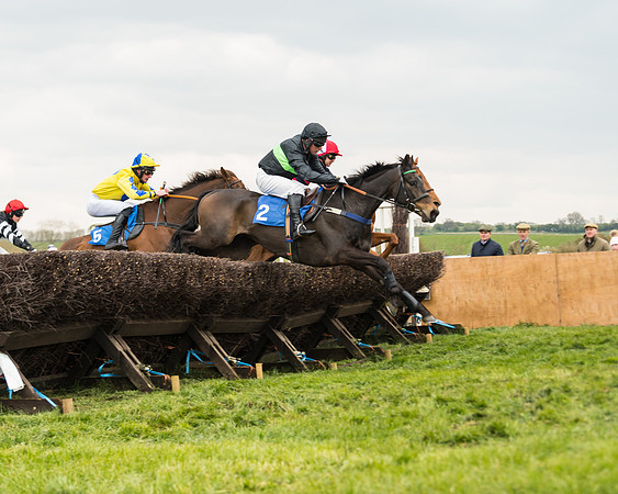 Race 3 - Open Maiden (29 of 56)