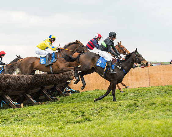Race 3 - Open Maiden (32 of 56)