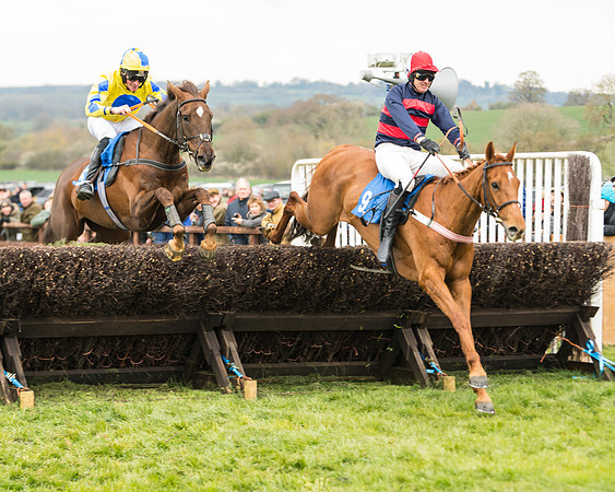 Race 3 - Open Maiden (38 of 56)