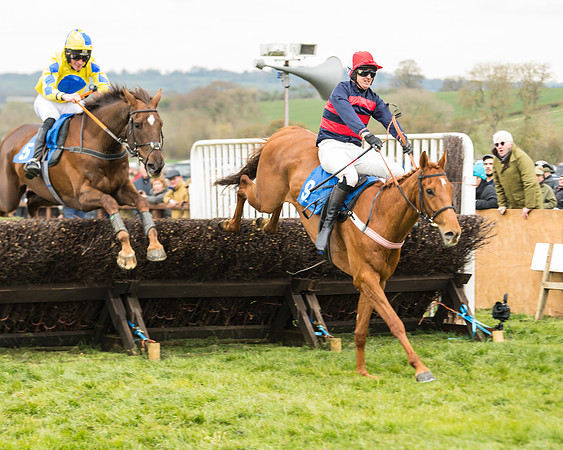 Race 3 - Open Maiden (39 of 56)