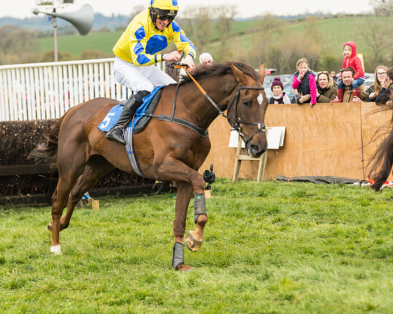 Race 3 - Open Maiden (41 of 56)