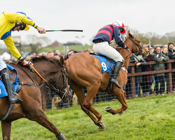 Race 3 - Open Maiden (42 of 56)