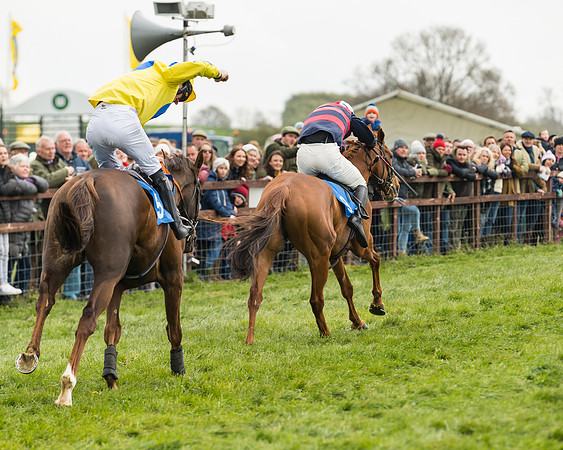 Race 3 - Open Maiden (43 of 56)