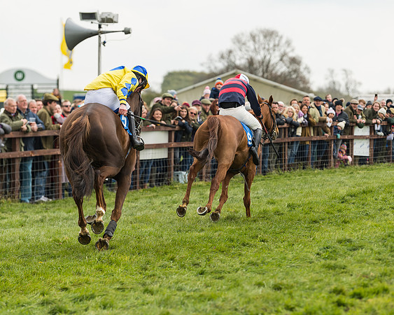 Race 3 - Open Maiden (45 of 56)
