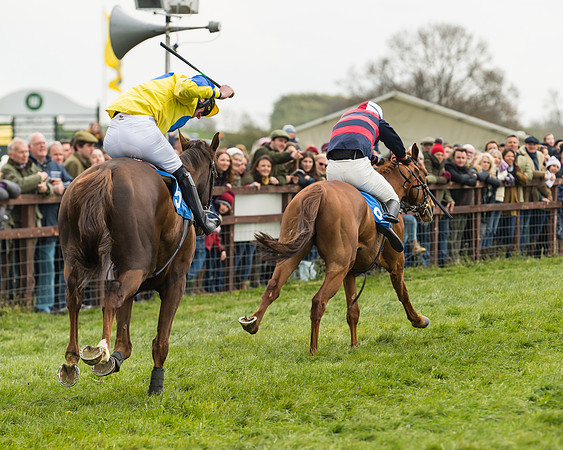 Race 3 - Open Maiden (44 of 56)