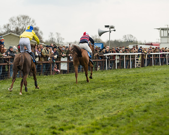 Race 3 - Open Maiden (46 of 56)