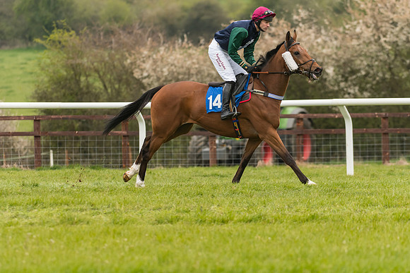 Race 5 - Novice Riders (18 of 121)