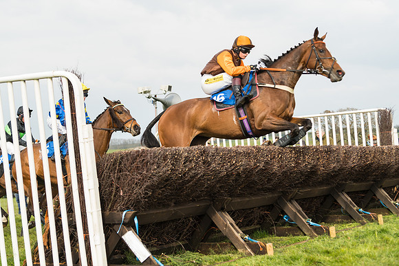 Race 6 - Restricted  (2 of 91)