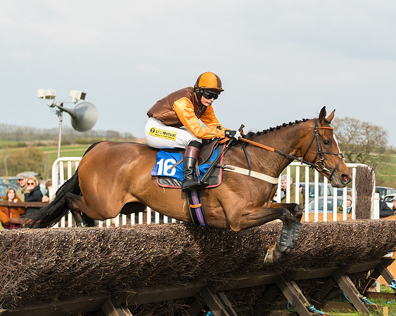 Race 6 - Restricted  (17 of 91)