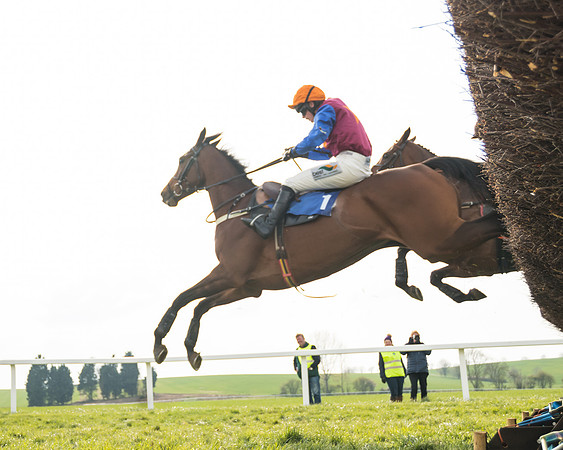 Race 6 - Restricted  (50 of 91)