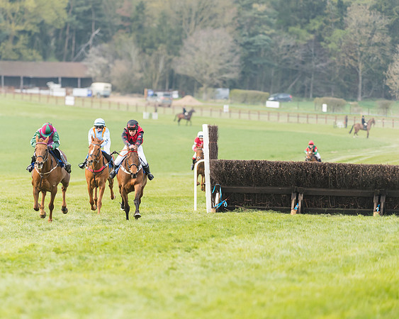 Pony Race 2  (3 of 33)