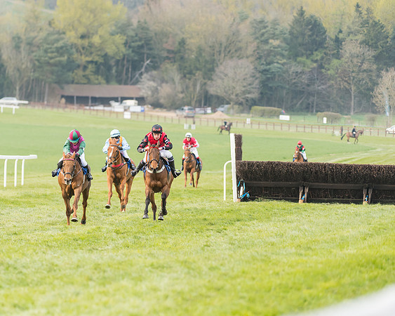 Pony Race 2  (4 of 33)